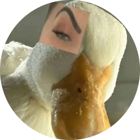 Ducky portrait